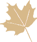 TAK Builder leaf logo